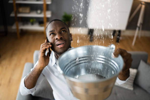 Best Mold removal after water damage  in Great Neck Estates, NY