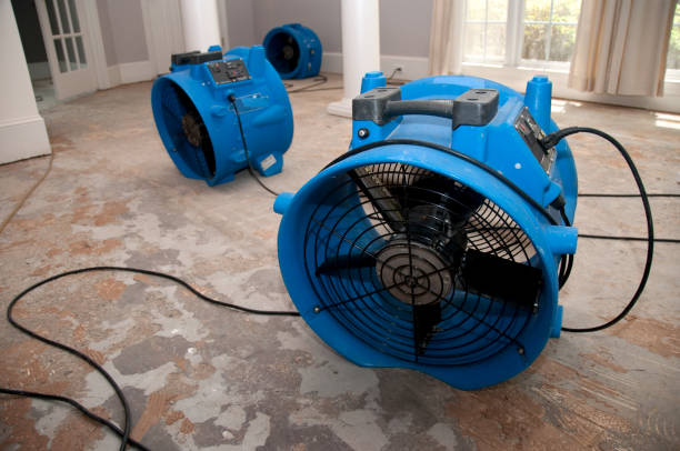 Best Flood restoration services  in Great Neck Estates, NY