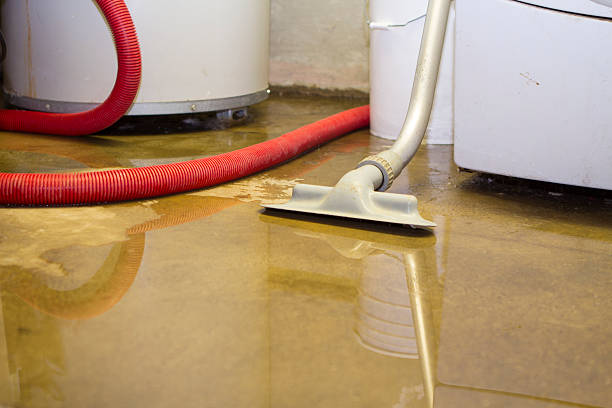 Water damage restoration mold remediation in Great Neck Estates, NY
