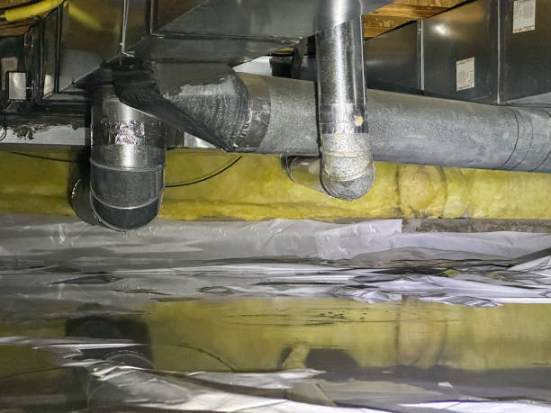 Best Water damage contractors near me  in Great Neck Estates, NY
