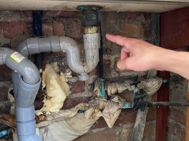 Best Basement water damage restoration  in Great Neck Estates, NY